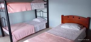 NorcasiaHostal El Balcon de madera的带2张床的客房中的2张双层床
