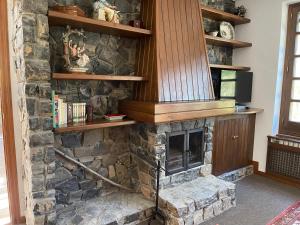埃里斯特Mirador del Valle Bed & Breakfast的客厅设有石制壁炉,配有木架