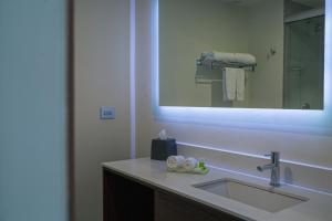 底拉斯卡拉Holiday Inn Tlaxcala, an IHG Hotel的一间带水槽和镜子的浴室