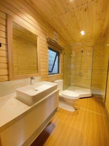 大叻Ngọc Nguyên Homestay的一间带水槽、卫生间和淋浴的浴室