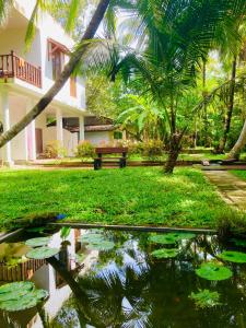本托塔Manel Villa的棕榈树屋前的池塘