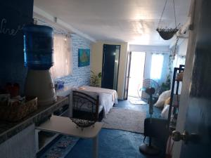 DaanbantayanLittle Sanity Beach house的带一张床的房间和厨房