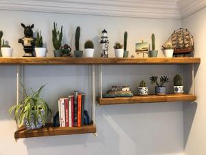 马盖特The Beetroot的一排木架,上面有植物和书籍