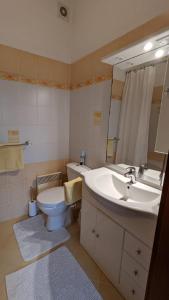 布尔诺Apartment Kamenná的一间带水槽、卫生间和镜子的浴室