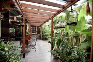 日惹Ndalem Maharani Guest House的充满植物的房间