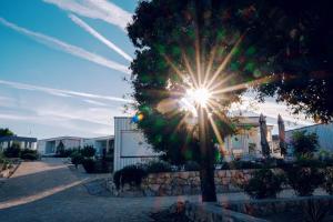 帕科坦Buqez resort Drage, villa Vita 50的建筑物前的树上闪烁的阳光