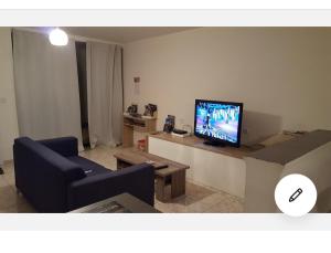 卢瓦尔河畔米德Gîte près de Chambord的客厅配有电视、沙发和桌子