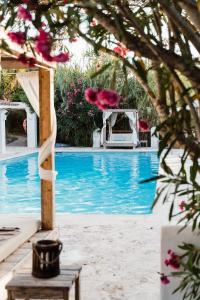 圣安东尼奥Can Vistabella Boutique Resort的享有带桌子和一些鲜花的游泳池景致