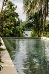 阿杭格默Kurulu Bay的棕榈树和水体的游泳池
