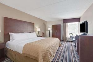 夏洛特Wyndham Garden Charlotte Airport Southeast的配有一张床和一台平面电视的酒店客房