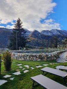 坎波迪特伦斯Chalet & Appartement Zingerlehof Trens的两个野餐桌,在山地的背景