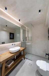 雷夫卡达镇Pnoe - Feel at Home的一间带水槽、卫生间和淋浴的浴室