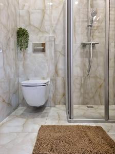希奥利艾Neris apartments的带淋浴和卫生间的浴室以及地毯。