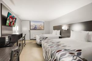 亚历山德里亚Red Roof Inn Alexandria, LA的酒店客房设有两张床和一台平面电视。