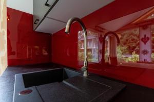 考斯赛力克Domki Sywor的一个带水槽和红色墙壁的厨房