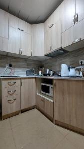 第比利斯Apart Hotel Vera的厨房配有木制橱柜、水槽和微波炉
