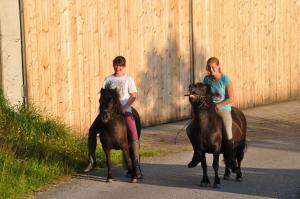 韦斯滕多夫Berggasthof Zieplhof的两名女孩骑着马在一条有栅栏的道路上