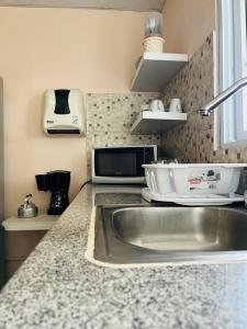 拉斯塔布拉斯Hostal VILLAS DON PABLO LAS TABLAS的厨房柜台设有水槽和微波炉