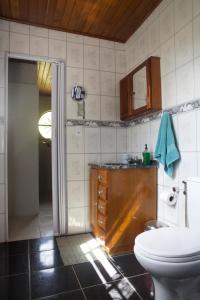 新弗里堡Casa em Friburgo com piscina lareira suíte & quarto的一间带卫生间、水槽和镜子的浴室