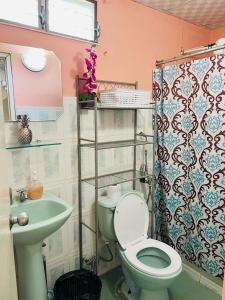 拉斯塔布拉斯Hostal VILLAS DON PABLO LAS TABLAS的浴室配有绿色卫生间和水槽。