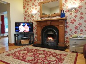 多尼戈尔Rosswood House的客厅设有壁炉和电视。