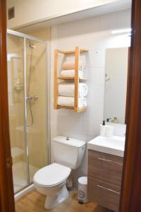 帕斯底拉卡萨ESTUDIO AVET - Perfecta ubicación的浴室配有卫生间、淋浴和盥洗盆。
