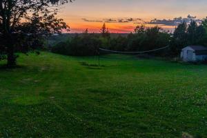 RoseneathCozy Sunset Cottage Overlooking Rice Lake的田野中间带网的田野