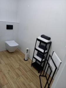 库特诺Apartament Różana Piątka的一间带卫生间和毛巾架的浴室