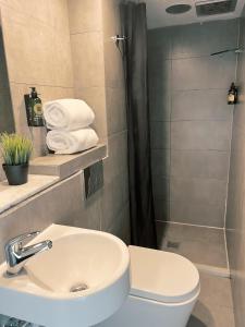 悉尼悉尼精品酒店的一间带水槽、卫生间和淋浴的浴室
