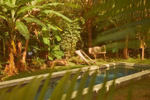 圣米格尔-杜斯米拉格里斯Pousada Peixe do Mato的花园内的游泳池旁设有椅子