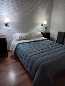 埃斯克尔Cabaña Lucio的一间卧室配有一张带两张桌子和两盏灯的床。