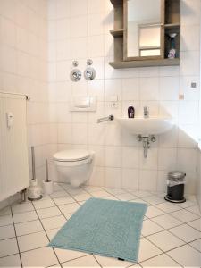 莱比锡Ferienwohnung am Clara Park的一间带卫生间、水槽和地毯的浴室