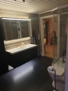 特罗姆瑟Mountainside Lodge - Breivikeidet的一间带水槽、卫生间和镜子的浴室