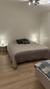特罗姆瑟Mountainside Lodge - Breivikeidet的一间卧室配有一张大床和两盏灯。
