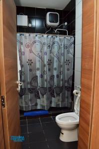 哈科特港Proxima Centauri Hotel的一间带卫生间和淋浴帘的浴室