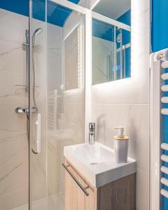 里摩日Petit nid douillet - Welc'Home的一间带水槽和淋浴的浴室