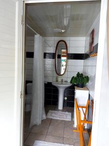萨拉济Chez Framboise的一间带水槽和镜子的浴室
