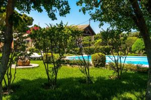 斯巴达Villa Loukia的一个带游泳池和树木的庭院