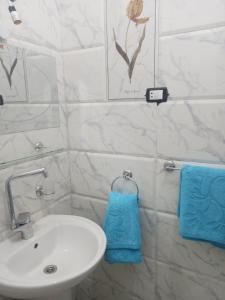 阿斯旺Nubian Queen Guest House的浴室设有白色水槽和蓝色毛巾。