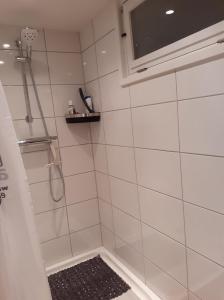 博黑克Studio Bosuiltje的带淋浴的浴室,配有窗户和地毯