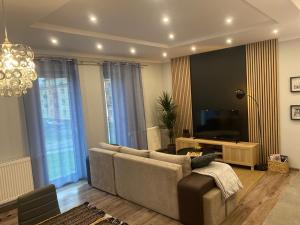 达布罗瓦古尔尼恰Apartament Majakowskiego DG的带沙发和平面电视的客厅