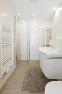 普劳西Hafendorf Haus 7_ Apartment 4的白色的浴室设有水槽和淋浴。