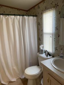 拉瓦卡港Edgewater Getaway的浴室配有白色的浴帘和卫生间