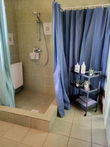 VidrižiVēverkalni的一间带蓝色淋浴帘的淋浴的浴室