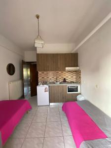 欧拉努波利斯Pansion Vasiliki的厨房铺有粉红色地毯。