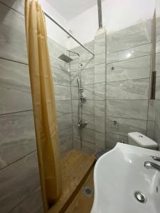 欧拉努波利斯Pansion Vasiliki的带淋浴、卫生间和盥洗盆的浴室