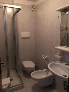 莫埃纳Dolomites Hotel La Meridiana的浴室配有卫生间、盥洗盆和淋浴。