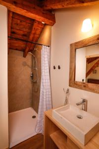EnveitgDomaine Agricole Cotzé / Casa rural的一间带水槽和淋浴的浴室
