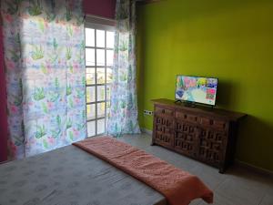 格拉纳迪利亚德亚沃纳Casa Rural Fayna的一间卧室设有绿色的墙壁、一张床和窗户