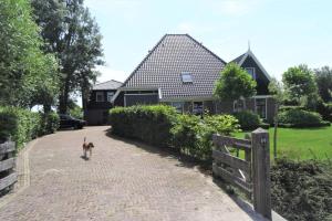 LutjewinkelLogies De Hooiberg的一条狗在房子前面的砖砌车道上走